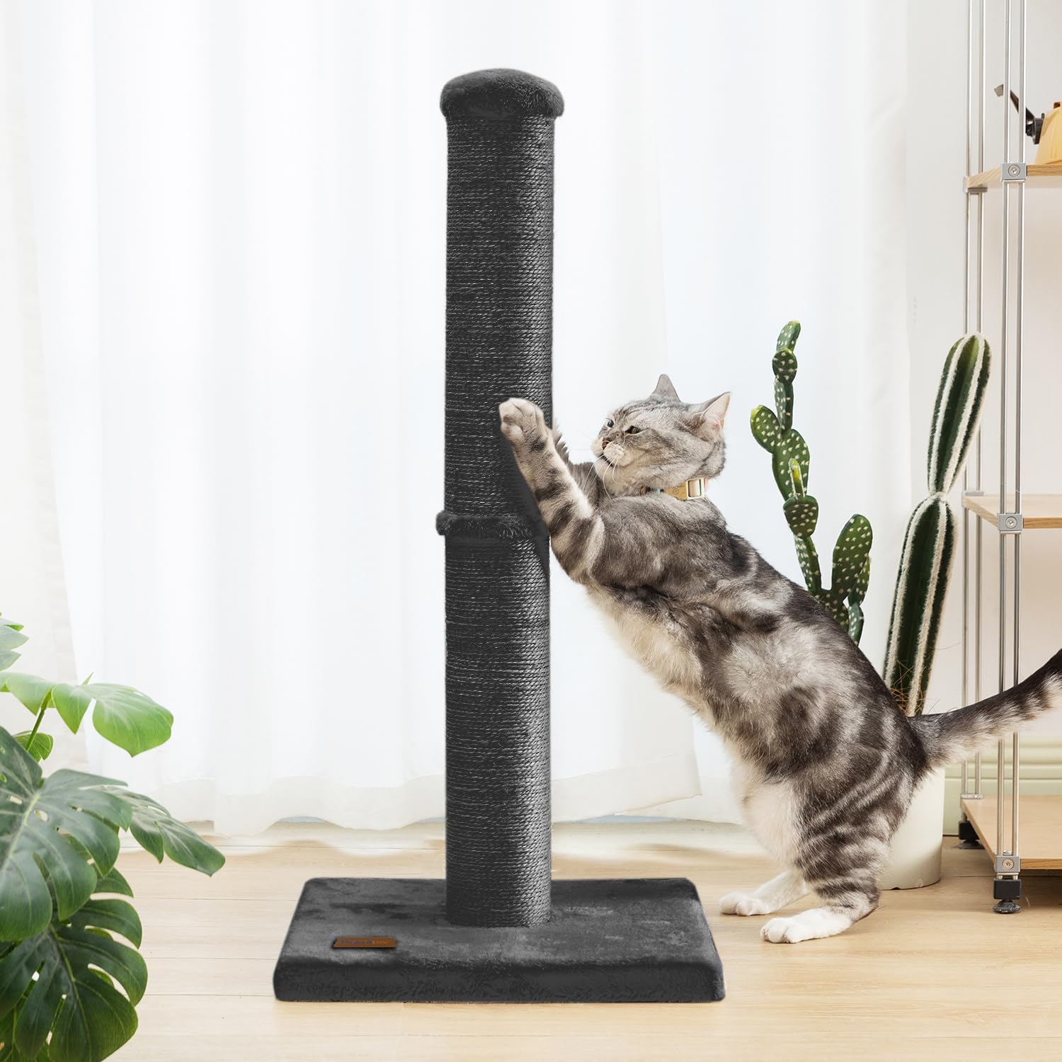 Midwest Nuvo Salvadore Scratching Post and Cat Furniture Tower - Black  