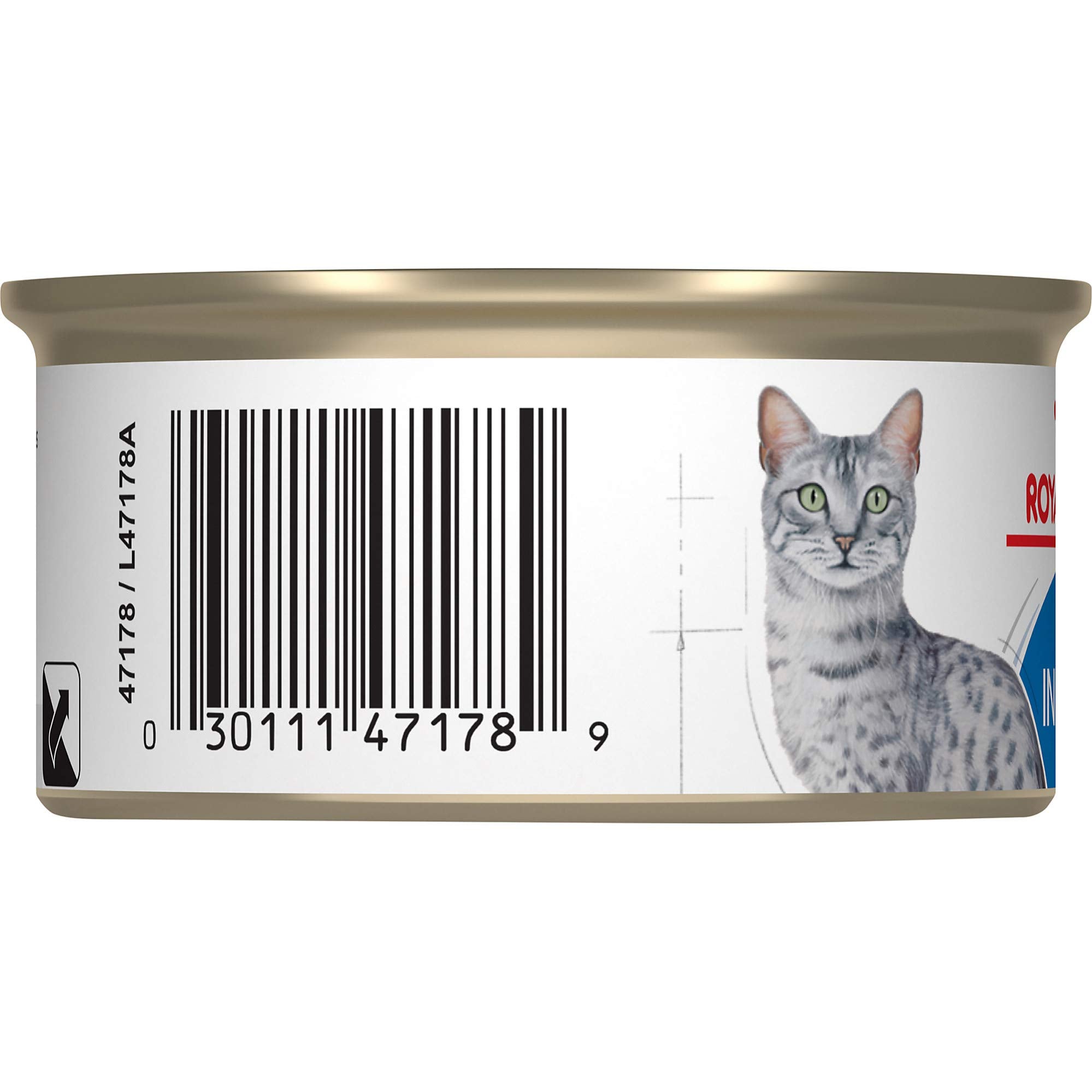 Royal Canin Feline Health Nutrition Morsels In Gravy Indoor Canned Cat Food - 3 Oz - Case of 24  