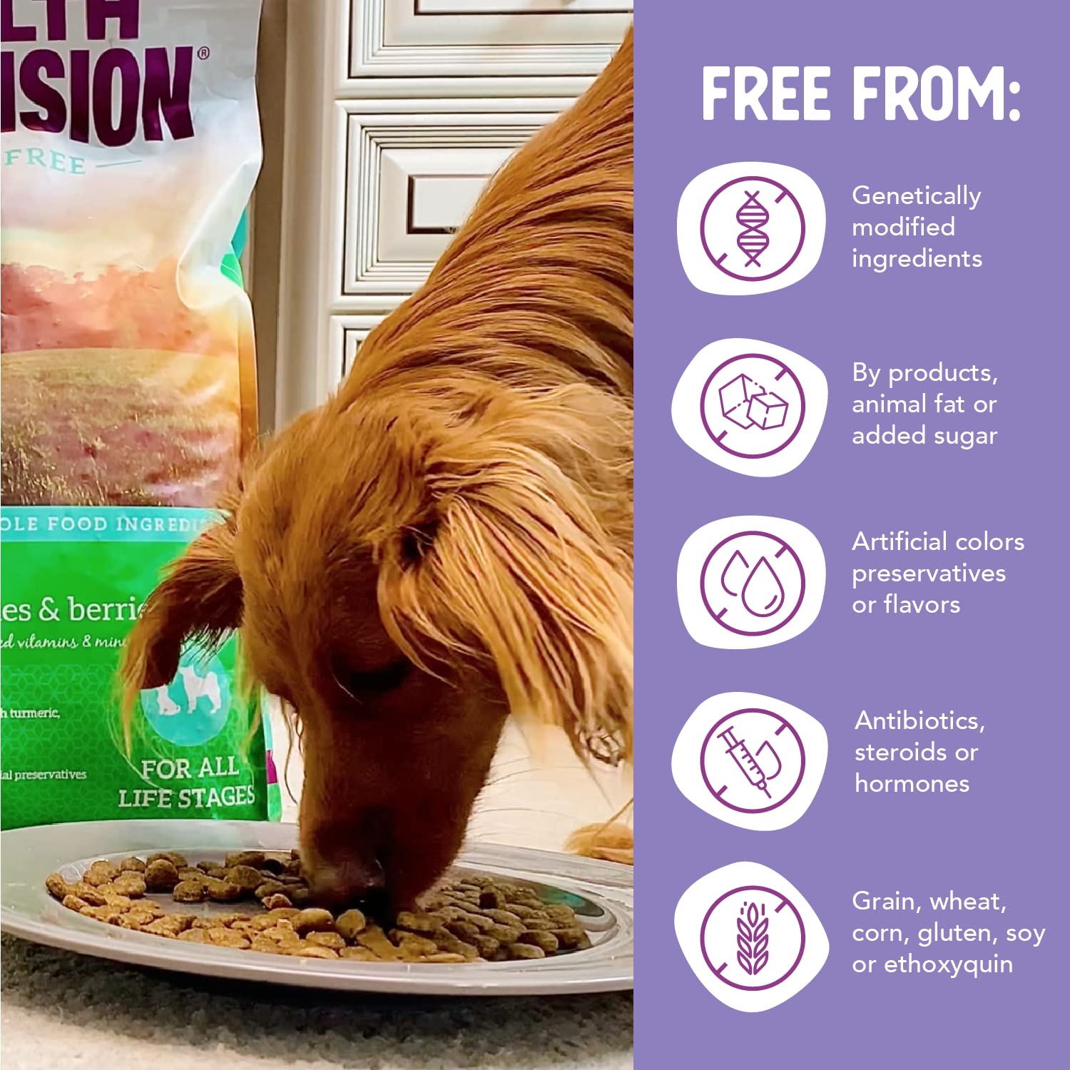 Health Extension Grain-Free Duck Dry Dog Food - 1 Lb  