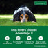 Elanco Advantage II Medium Dog 6-Month Dose Flea and Tick Spot-on Treatment - 11-20 Lbs - Teal -  6 Pack
