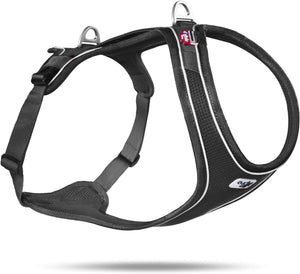 Curli Belka Comfort Dog Harness - Black - Extra Small