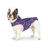 Canada Pooch Pick Me Waterproof Dog Poncho Glow in The Dark 10 Inch Length