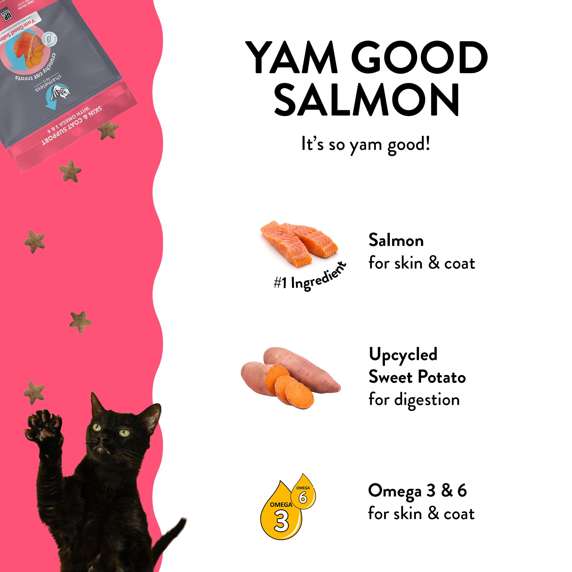 Shameless Pets Yam Good Salmon and Sweet Potato Crunchy Cat Treats - 2.5 Oz - Case of 12  