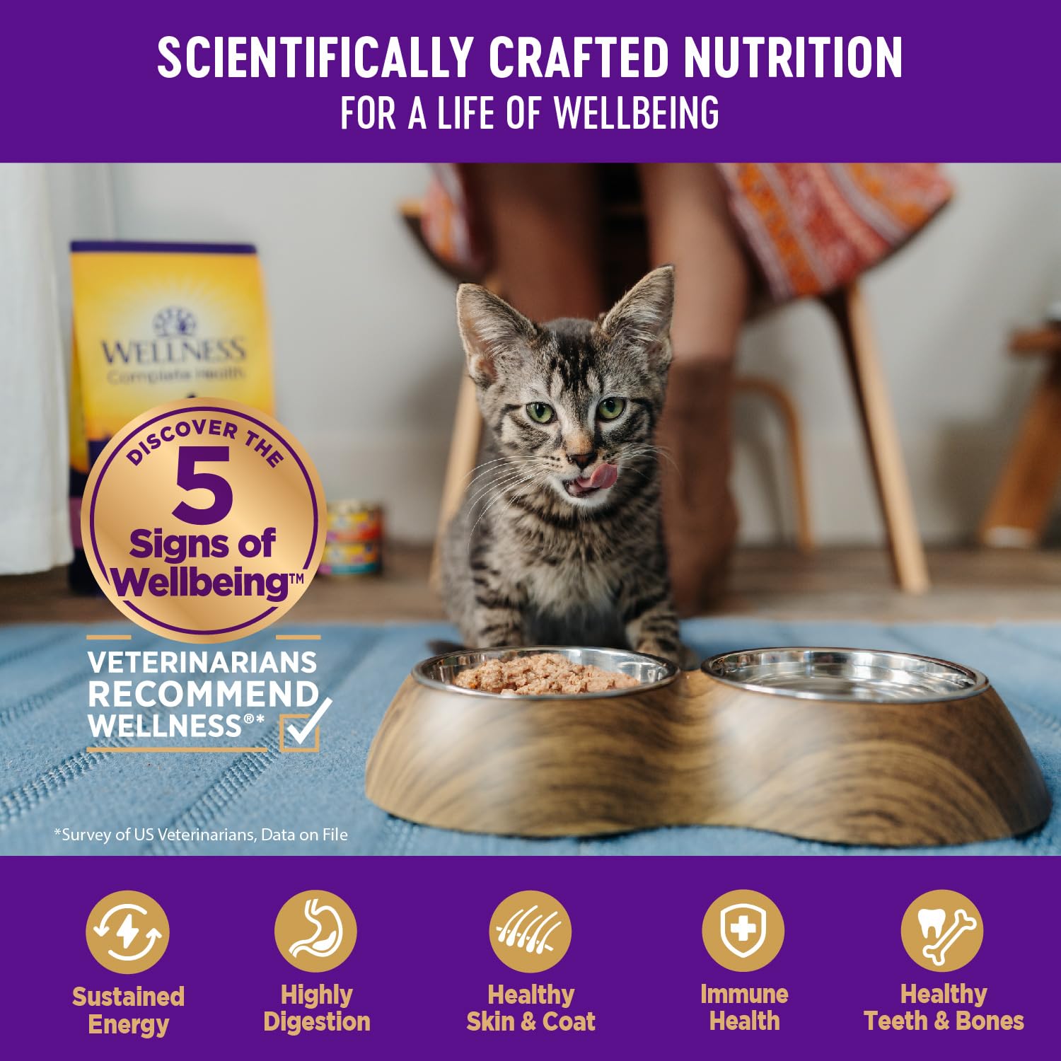 Wellness Healthy Indulgence Shreds Chicken and Turkey in Light Sauce Adult Wet Cat Food Pouch - 3 Oz - Case of 24  