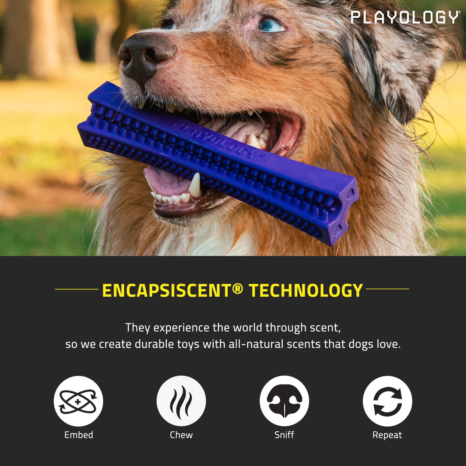 Playology Pork Scented Dental Chew Stick Rubber Dog Toy with Encapsiscent Technology - Large  