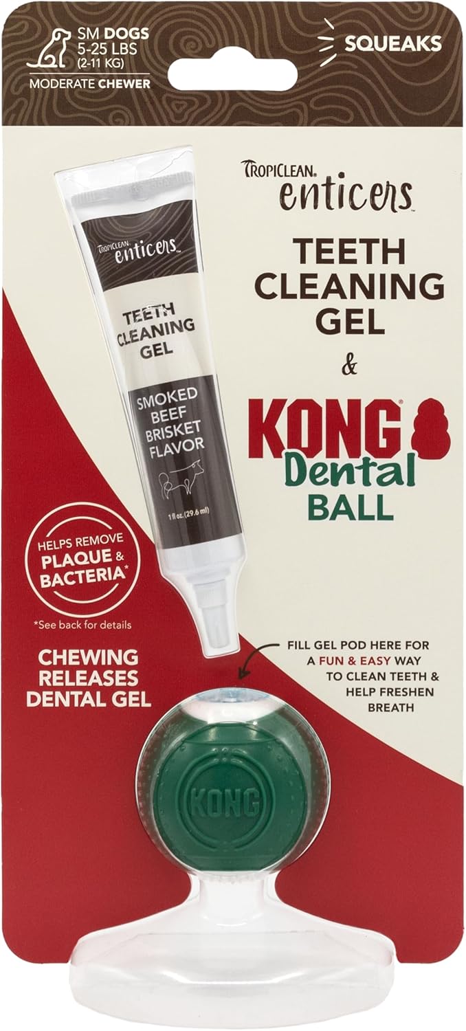 Tropiclean Enticers Smoked Beef Teeth Cleaning Dental Gel Kit with Kong Ball Dog Toy - 1 Oz - Small Ball