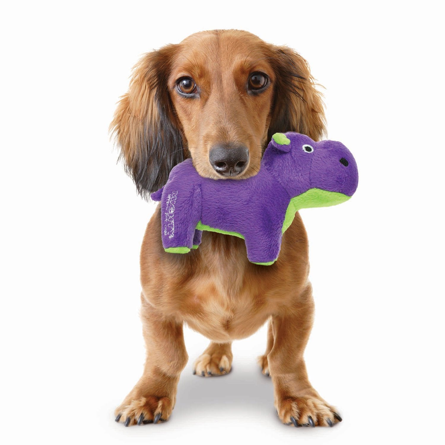 Mighty Junior Safari Hippo Squeak and Plush Floating Dog Toy - Purple - Large  