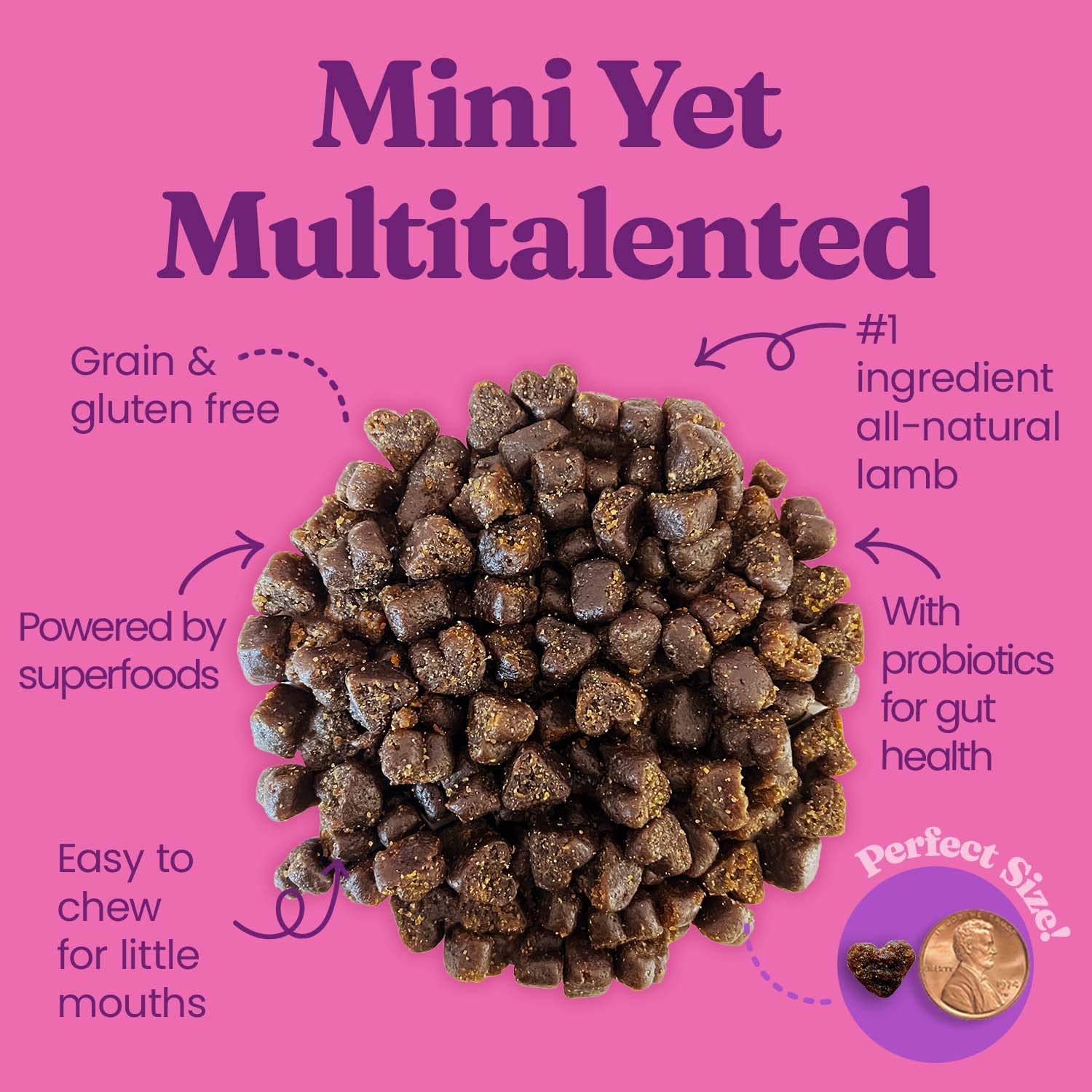 Solid Gold Mighty Mini Grain-Free Lamb and Sweet Potato Soft and Chewy Dog Treats - 4 Oz - Case of 12  