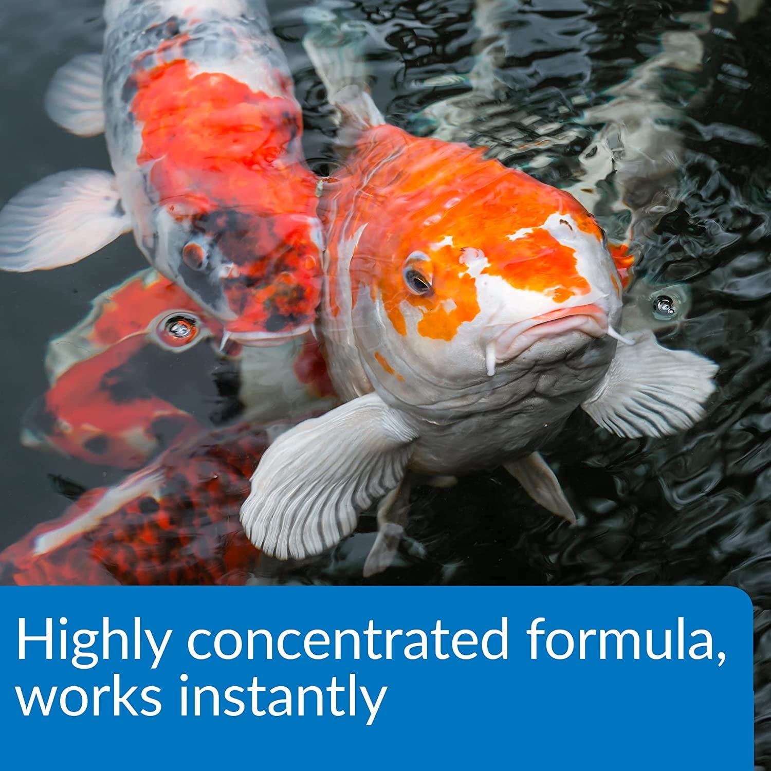 API Aqua Essential Pond Water Conditioner