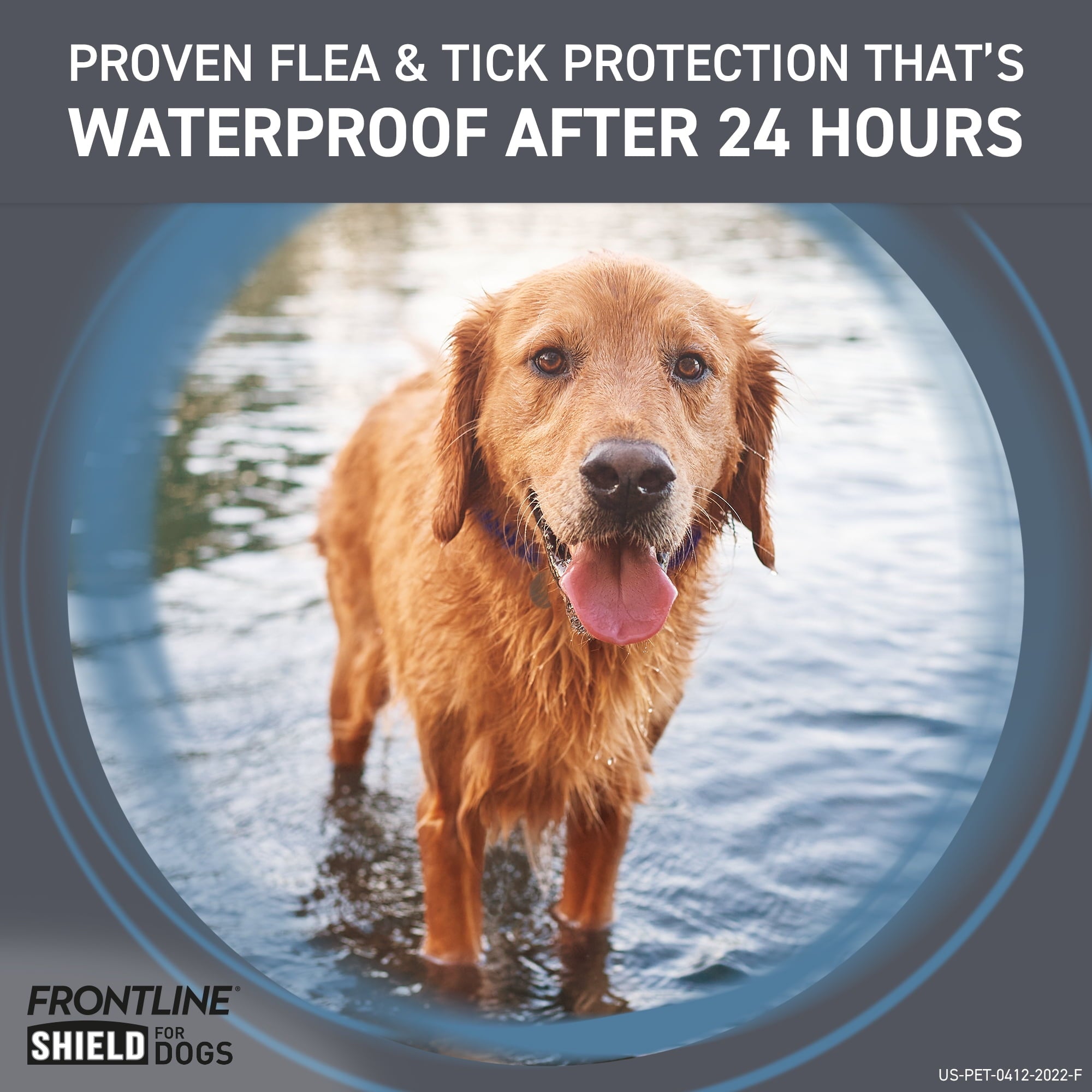 Frontline Shield Extra-Strength Dog Flea and Tick 3-Dose Treatment - Small - Dogs 11-20 Lbs