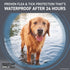 Frontline Shield Extra-Strength Dog Flea and Tick 3-Dose Treatment - Small - Dogs 11-20 Lbs