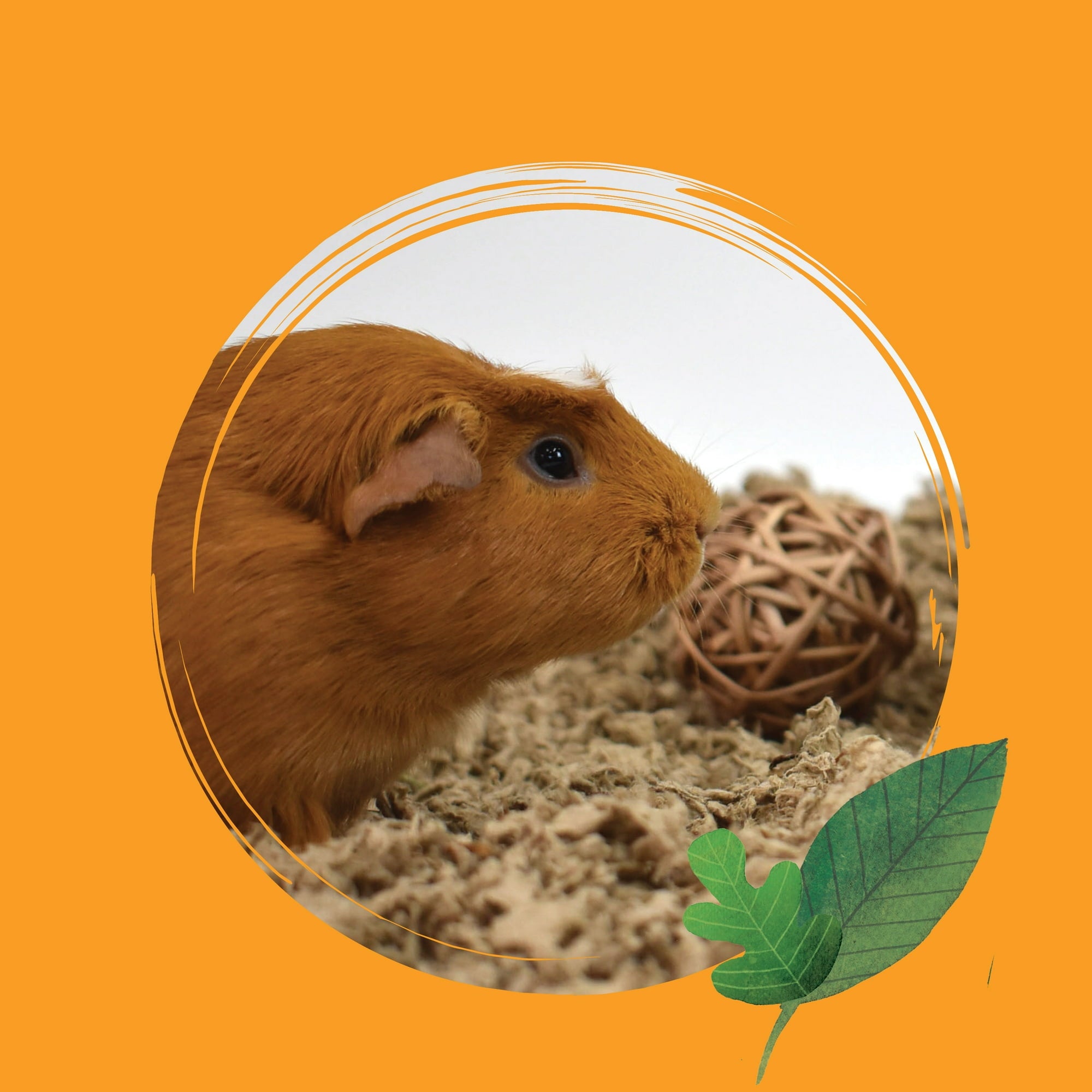 Healthy Pet Critter Care All-Natural Small Animal Bedding - 14 Liters