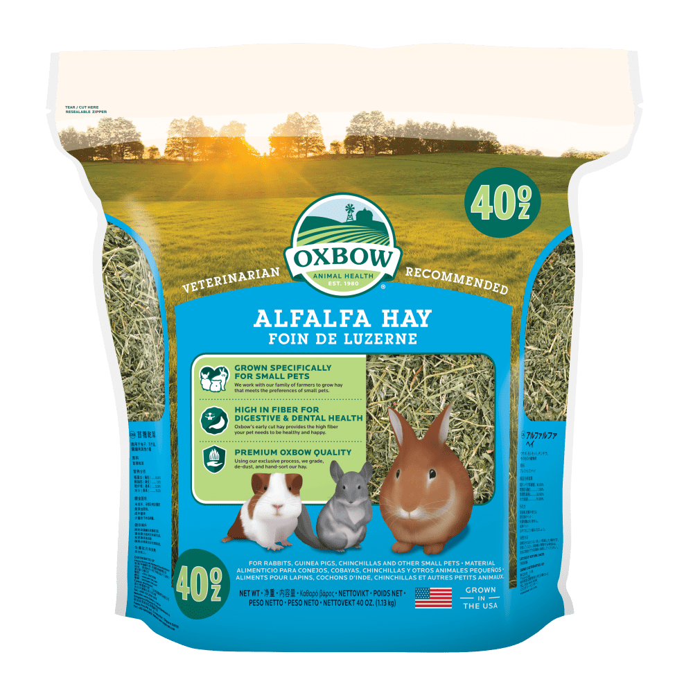 Oxbow Alfalfa Small Animal Hay - 40 Oz