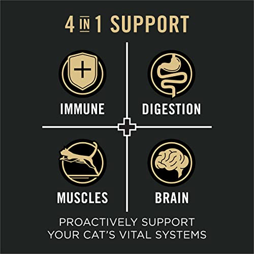 Purina Pro Plan Vital Systems 4-in-1 Support Salmon and Egg Adult Dry Cat Food