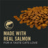 Purina Pro Plan Vital Systems 4-in-1 Support Salmon and Rice 7+ Senior Adult Dry Cat Food