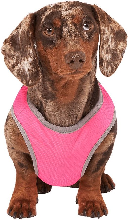 Canada Pooch Chill Seaker Cooling Dog Vest