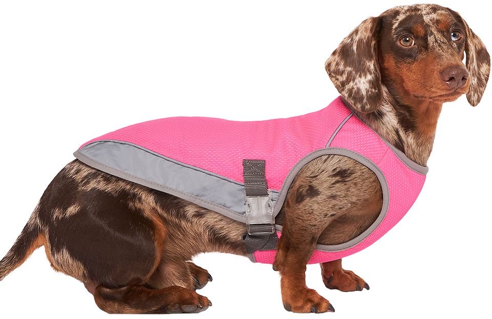 Canada Pooch Chill Seaker Cooling Dog Vest Neon Pink 10 Inch Length