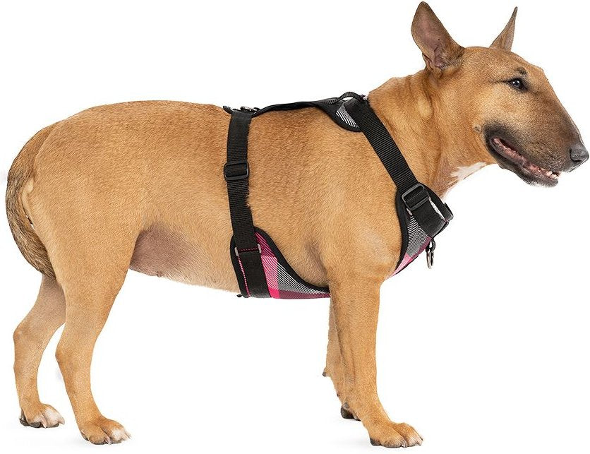 Canada Pooch Water-Resistent Everything Dog Harness