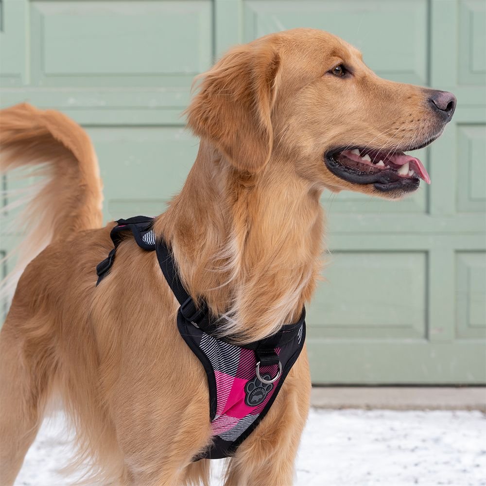 Canada Pooch Water-Resistent Everything Dog Harness