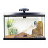 Exo Terra Leopard Gecko Starter Kit - 10 Gallon