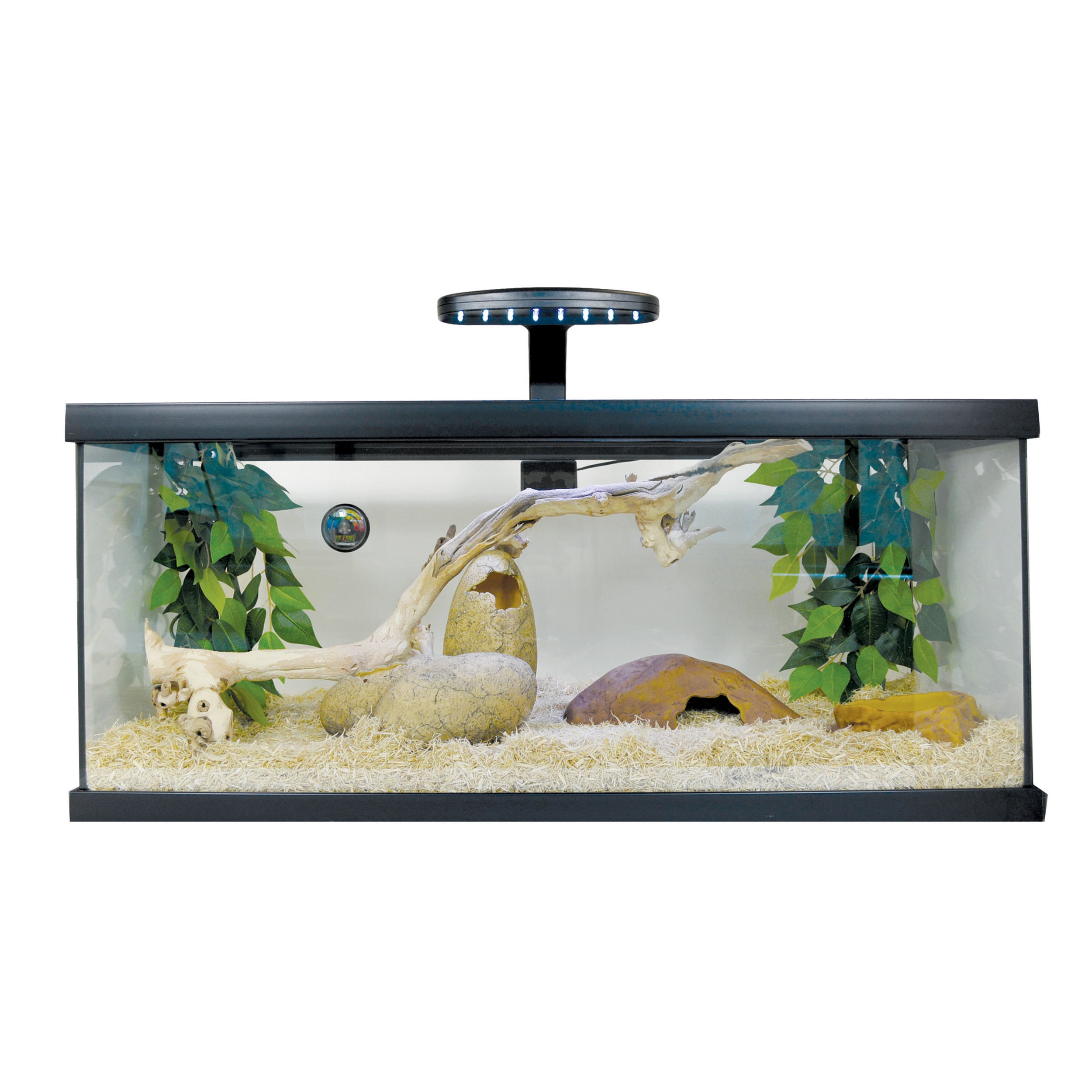 Exo Terra Glass Long Snake Starter Kit - 20 Gallon