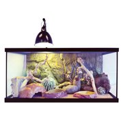 Exo Terra Bearded Dragon Reptile Starter Kit Tank - 40 Gallon