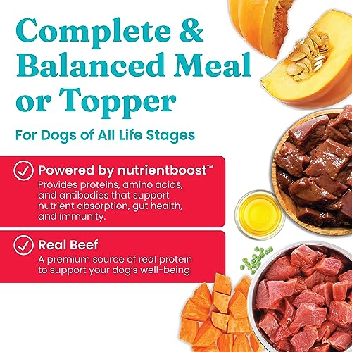 Solid Gold NutrientBoost Beef and Superfood Gently Air-Dried Dog Food Topper or Treat - 2 Lbs