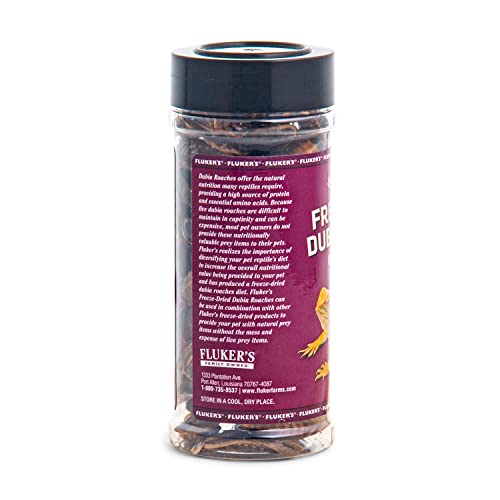 Fluker's Freeze-Dried Dubia Roaches for Birds Fish Hedgehogs and Reptile Food - 1.7 Oz
