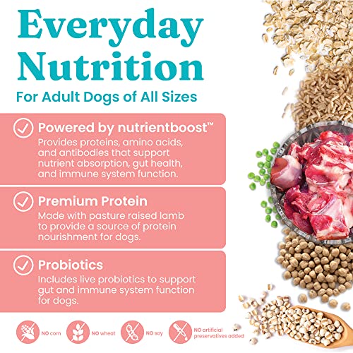 Solid Gold NutrientBoost Hund-N-Flocken Lamb Brown Rice and Barley Medium-to-Large-Breed Senior Adult Dry Dog Food - 3.75 Lbs