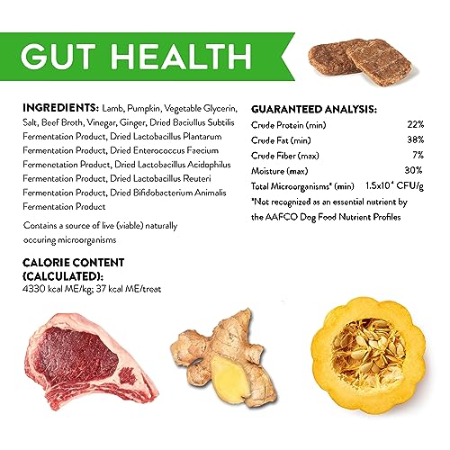 Dogswell Gut Health Lamb Mini Functional Jerky Dog Treats - 4 Oz