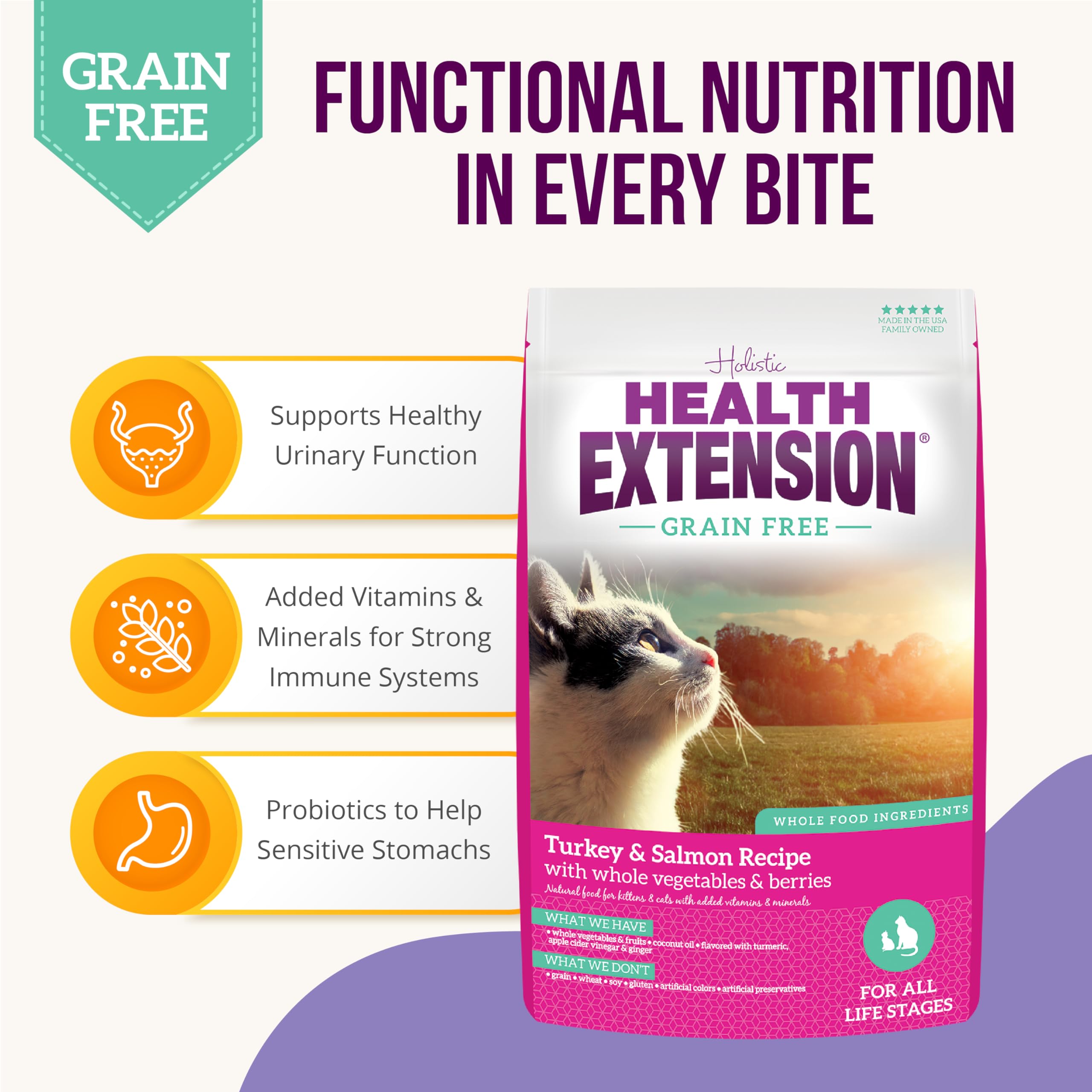 Health Extension Dry Cat Food - 1 Lb  