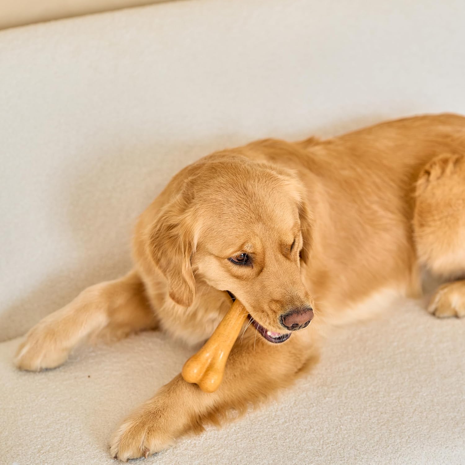 Ethical SPOT Bam-Bones Dino Bone Peanut Butter Flavored Bamboo and Nylon Chew Dog Toy - 7.25 Inch