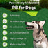 Green Coast Pet Pawnut Butter with Pumpkin Spreadable and Lickable Dog Treat - 1 Lb