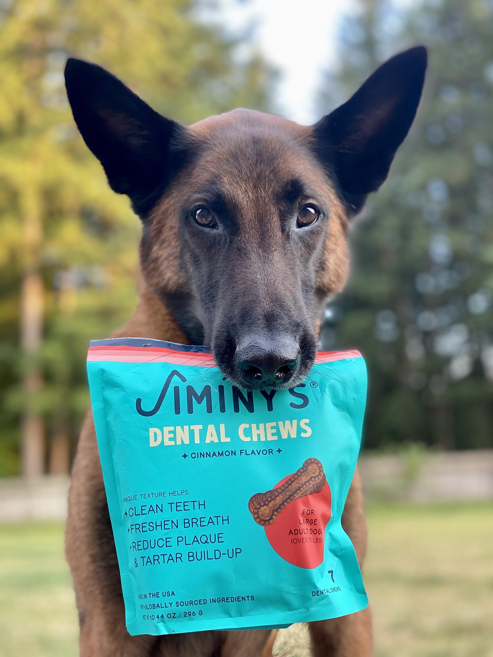 Jiminy's Cinnamon Flavored Dental Dog Chews - Large - 7 Count - 12 Oz  