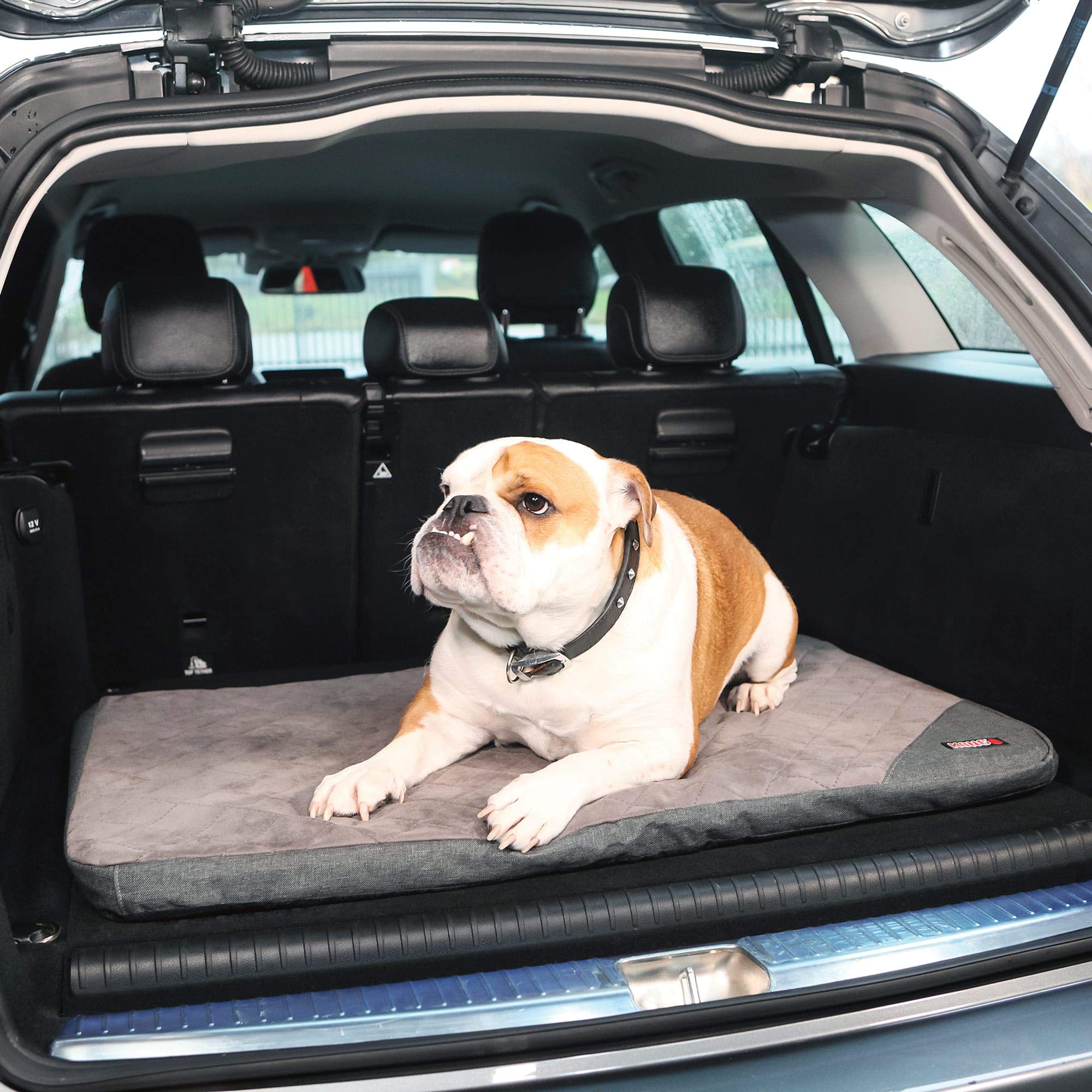 Kong Fold Up Travel Pet Mat  