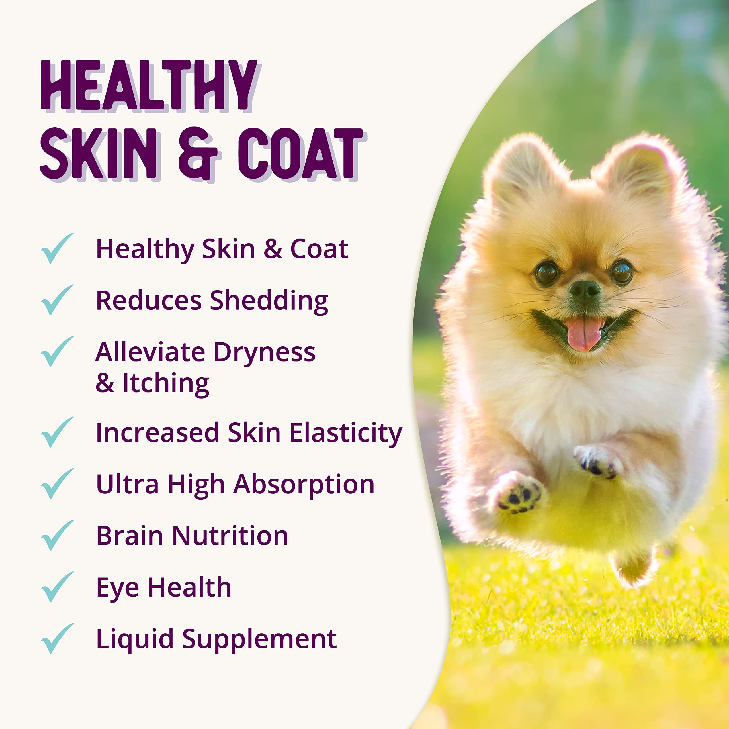 Health Extension Skin and Coat Dog Conditioner - 1 Quart  