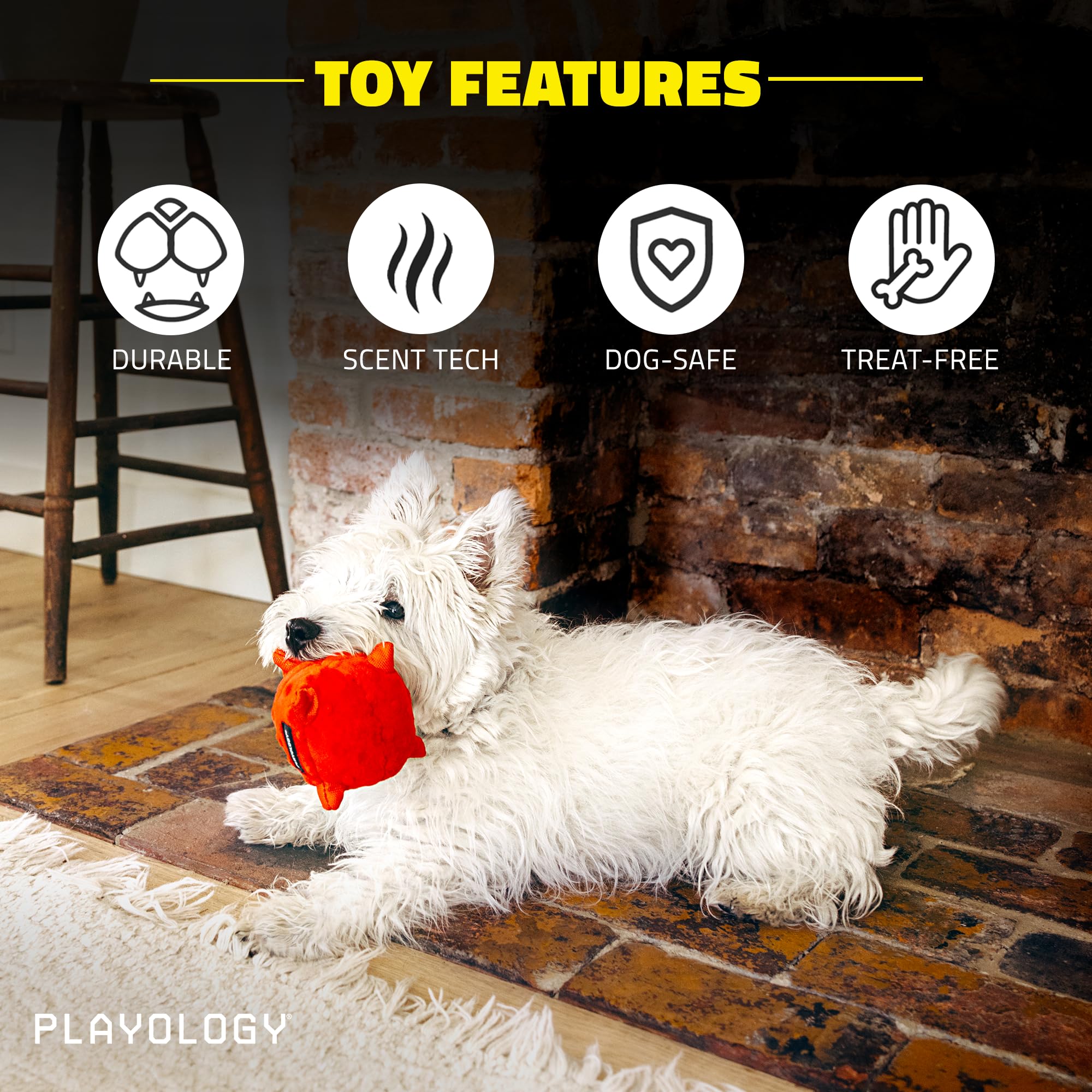 Playology Beef Scented Sensory Ball Squeak and Plush Puppy Dog Toy with Encapsiscent Technology - Small  