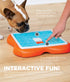 Outward Hound Challenge Slider Treat Rewarding Puzzle Solving Dog Toy and Feeder  