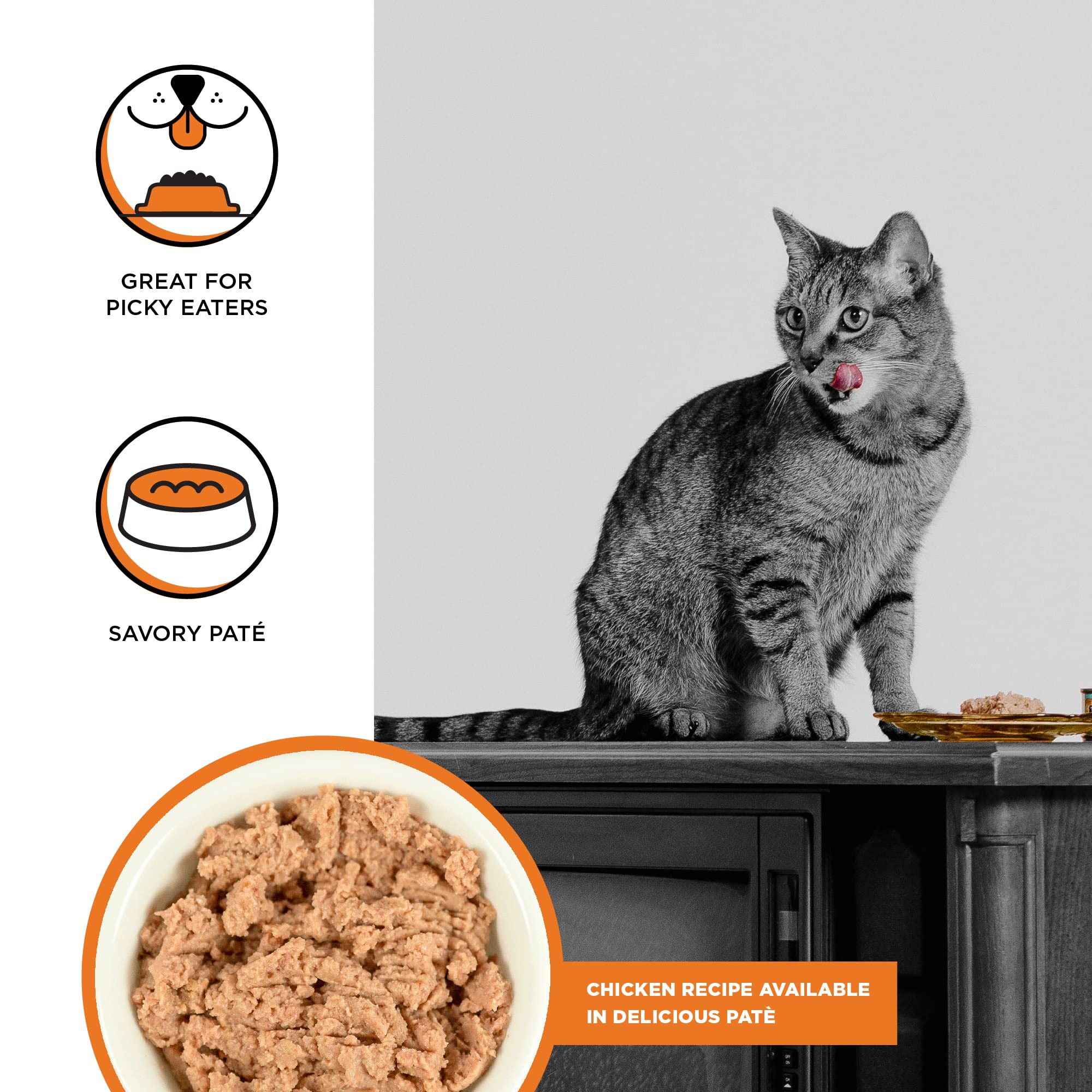 Bixbi Rawbble Chicken Pate Canned Cat Food - 5 Oz - Case of 24  