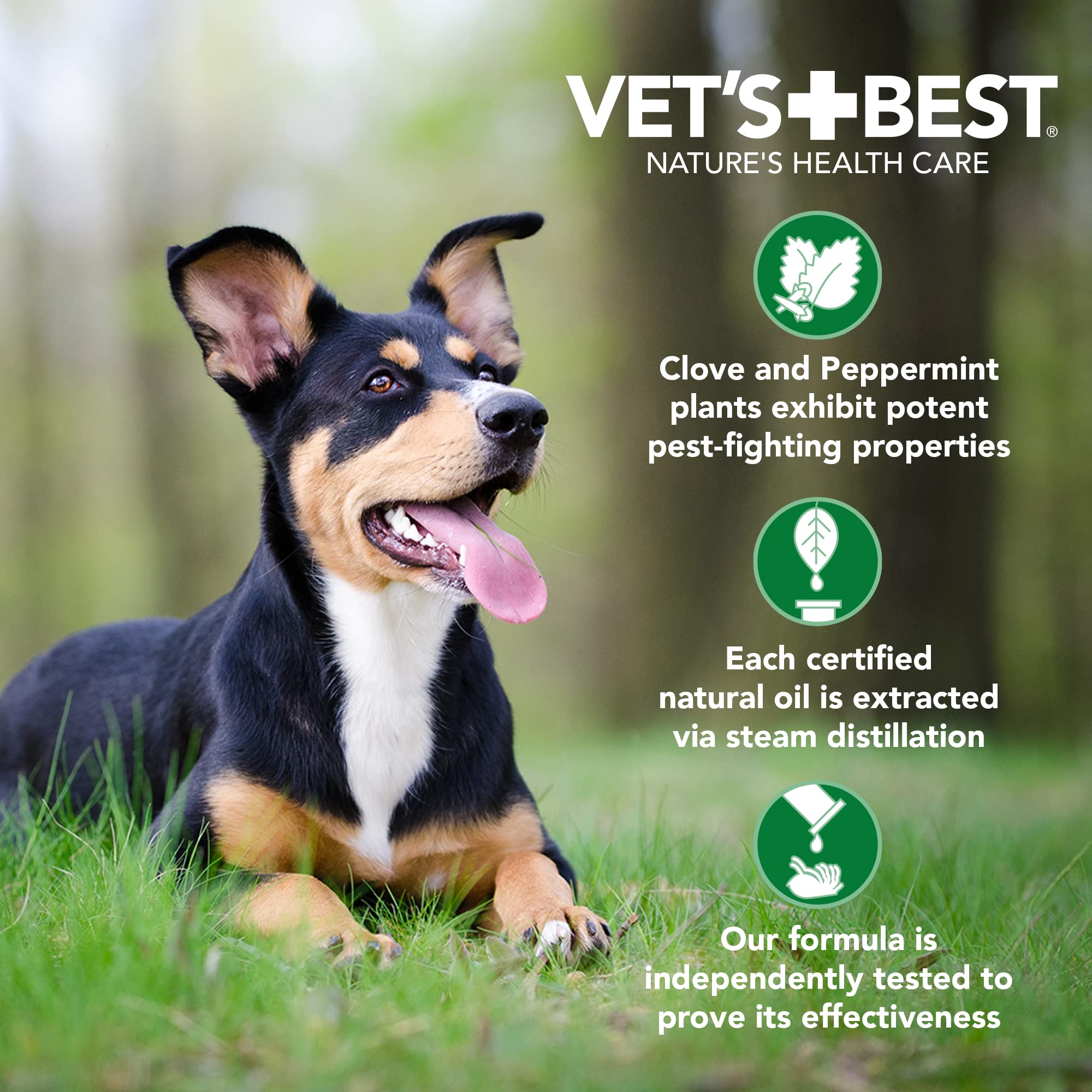 Vet's Best Plant Based Flea and Tick Spot-On Treatment Drops for Dogs - 1.6 ml - Small - 4 Count  