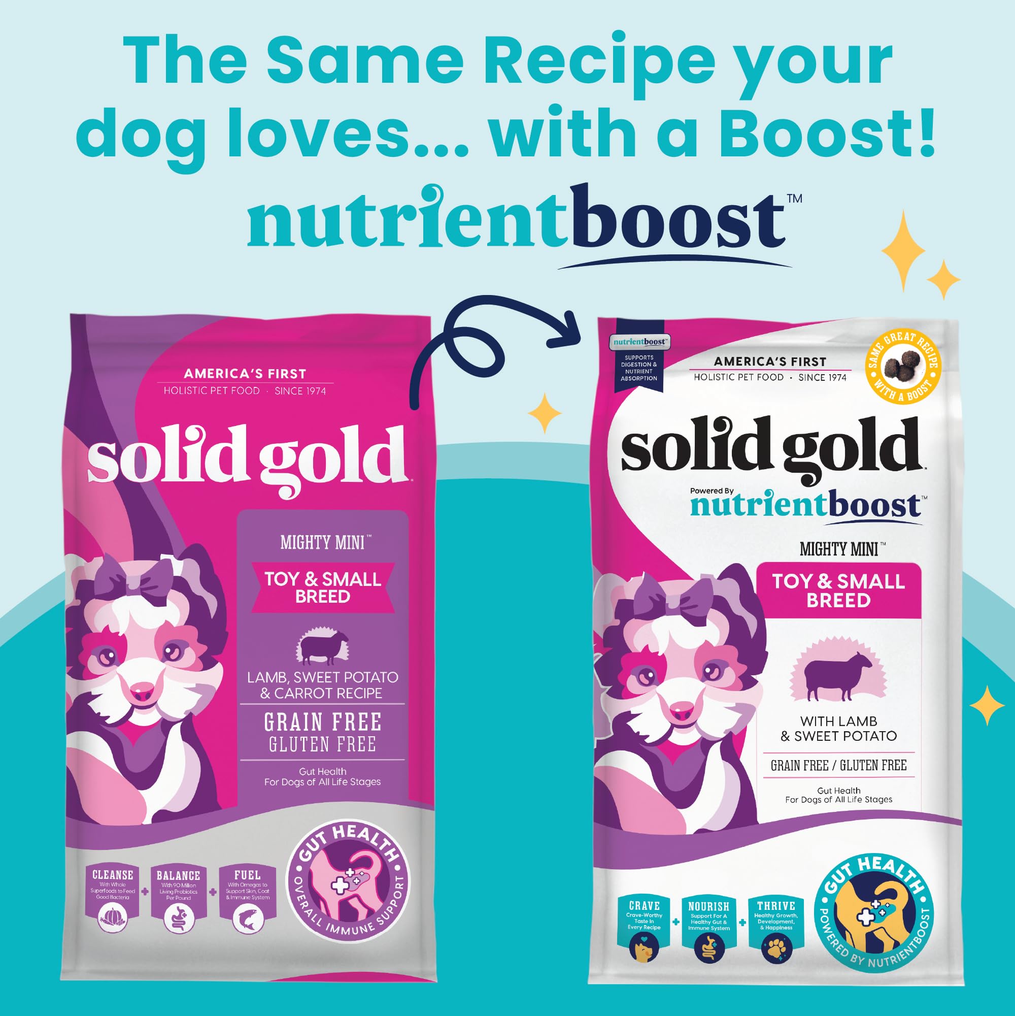 Solid Gold Mighty Mini Grain-Free Lamb Sweet Potato and Carrot Toy and Small-Breed Dry Dog Food - 4 Lbs  