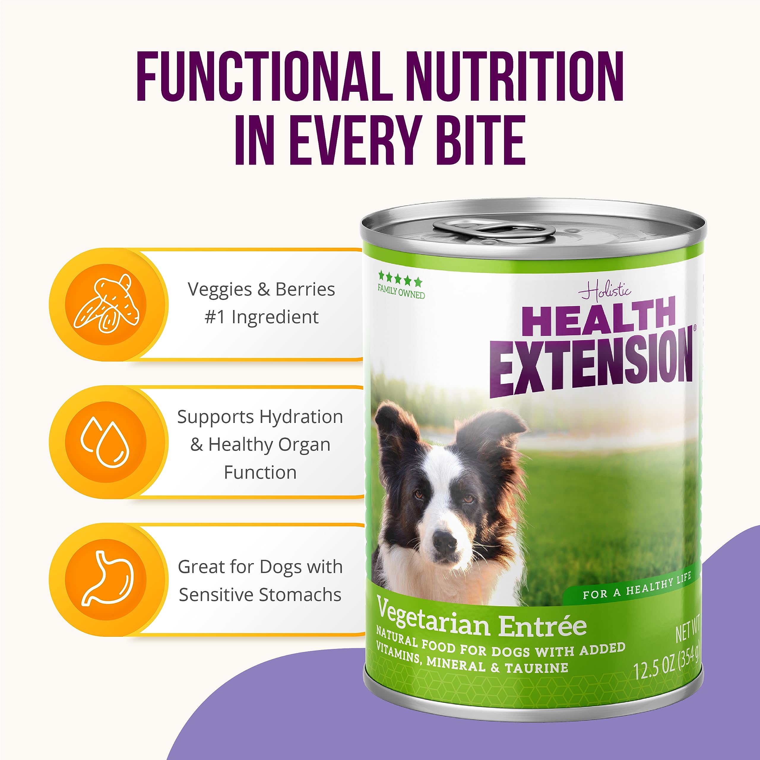 Health Extension Vegetarian Entrée Canned Dog Food - 12.5 Oz - Case of 12  