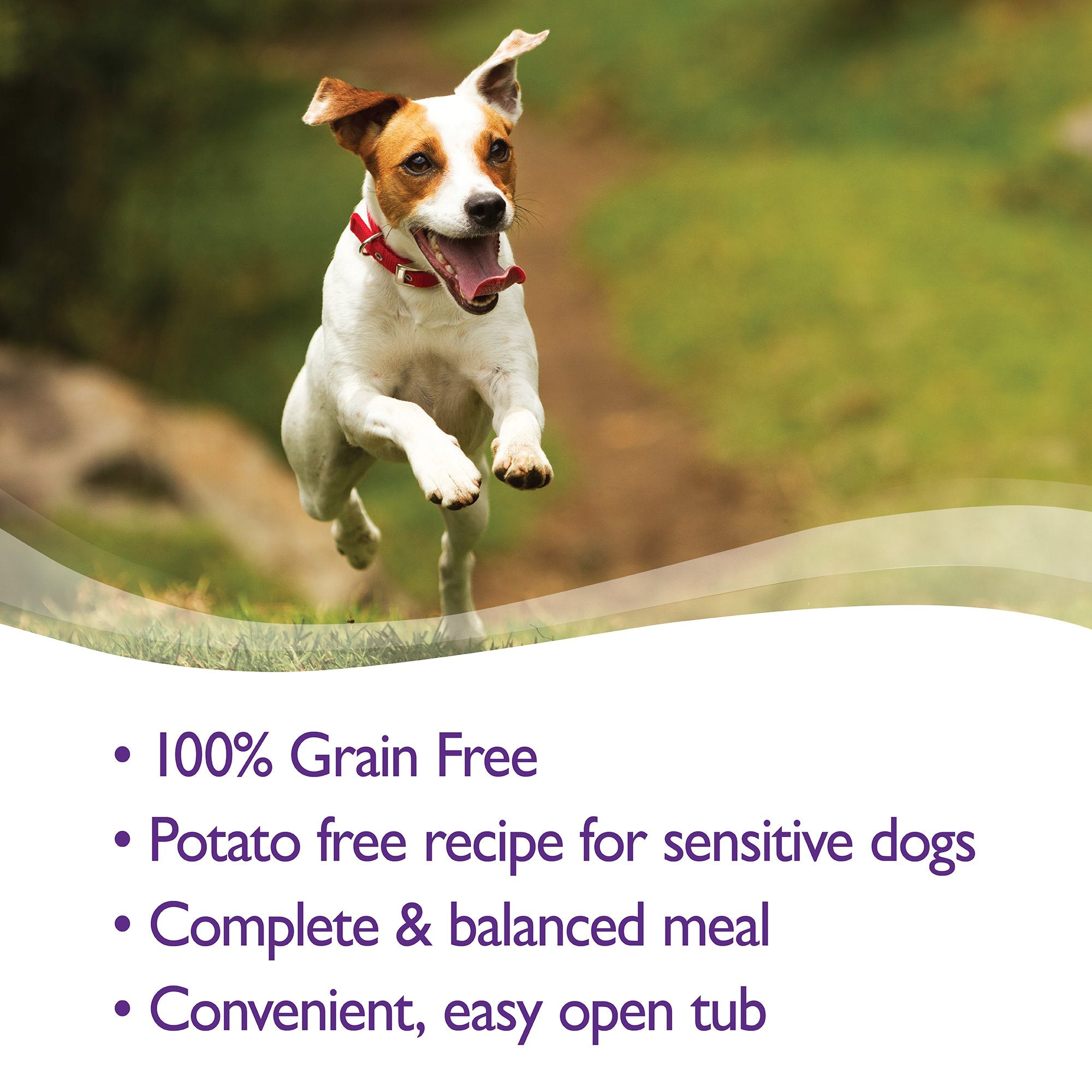 Wellness Petite Entrees Shredded Medley Grain-Free Chicken Duck Peas and Carrots Wet Dog Food Tray - 3 Oz - Case of 12  