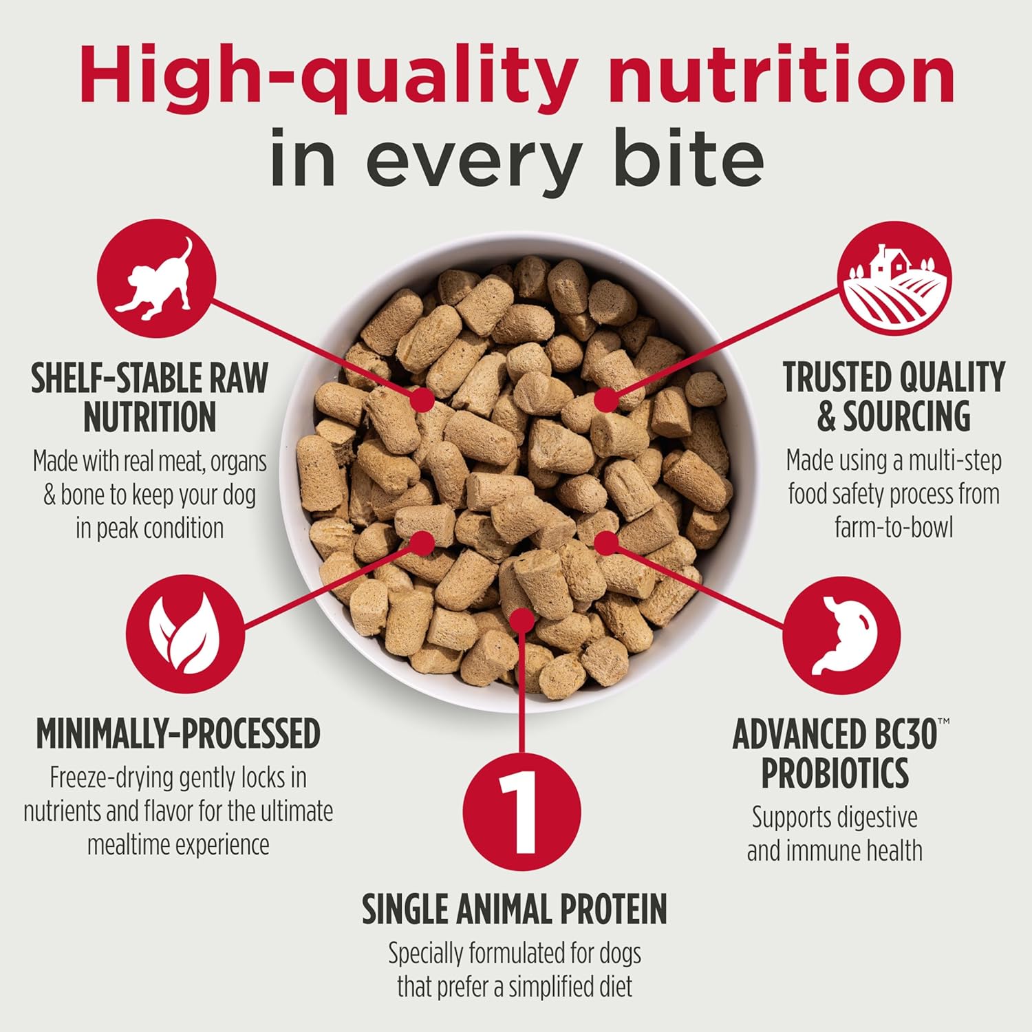 Nulo Grain-Free Freeze-Dried Raw Beef Recipe with Apples Complete and Balanced Dry Dog Food