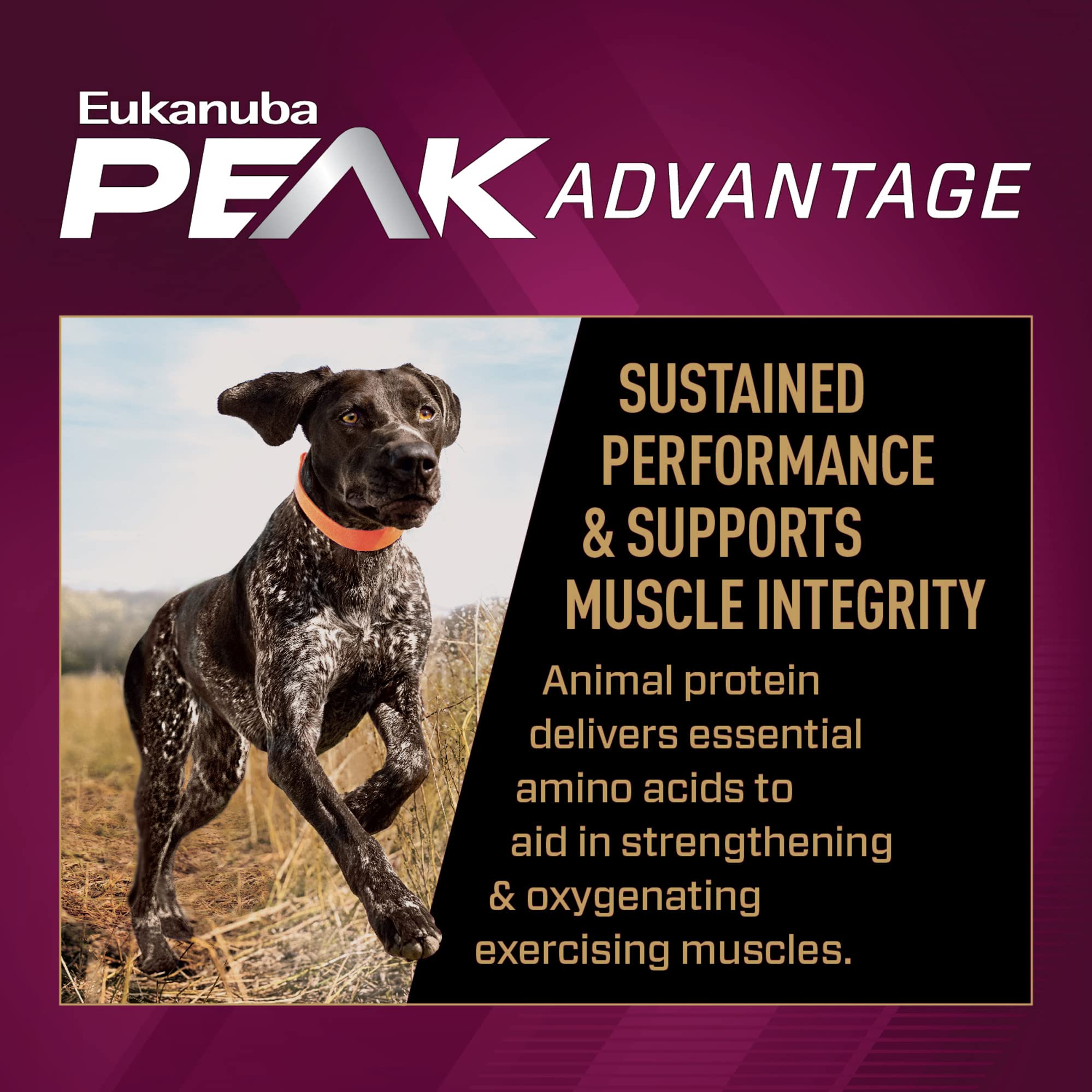 Eukanuba Premium Performance 30/20 Sport Dry Dog Food - 14 Lbs  