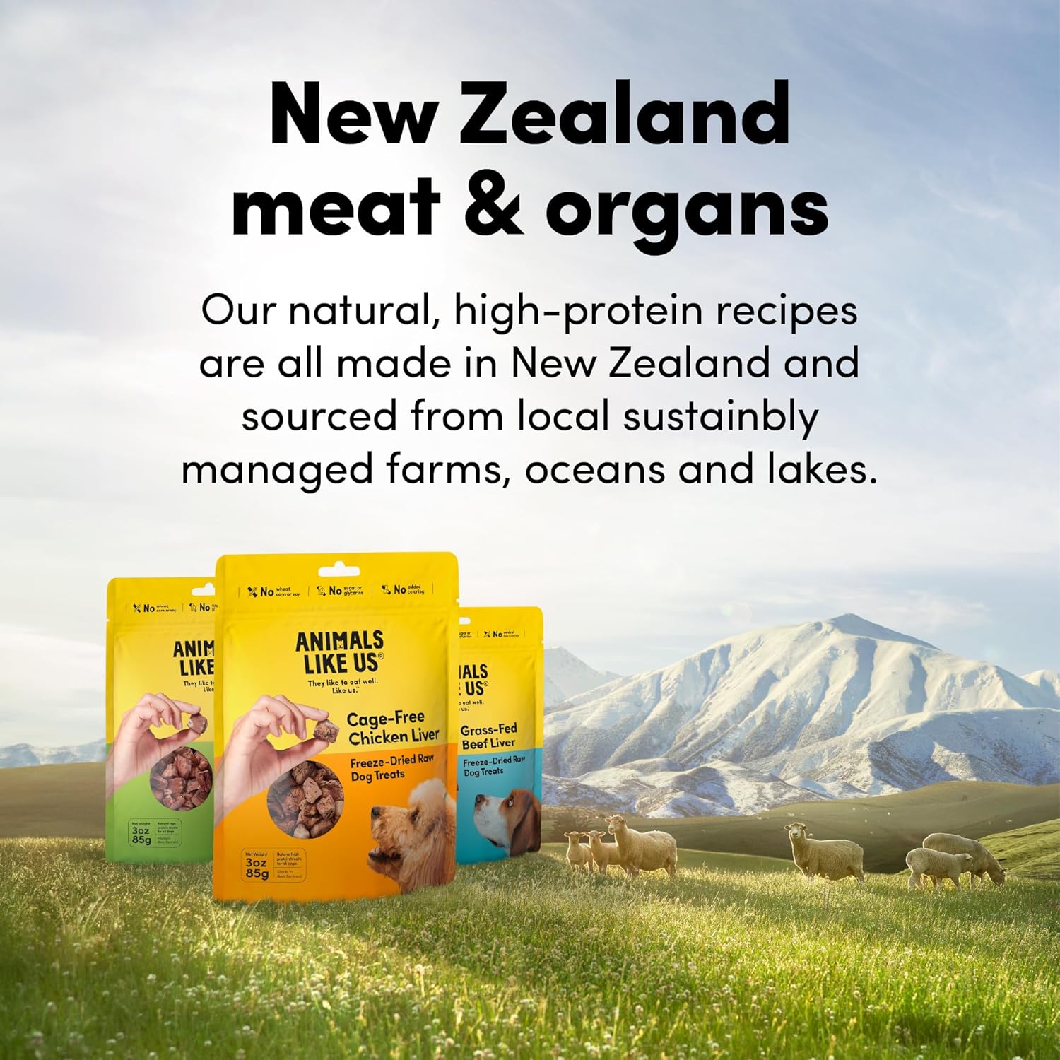 Animals Like Us Grass-Fed Lamb Tripe Freeze-Dried Raw Dog Treats - 2 Oz - Case of 12