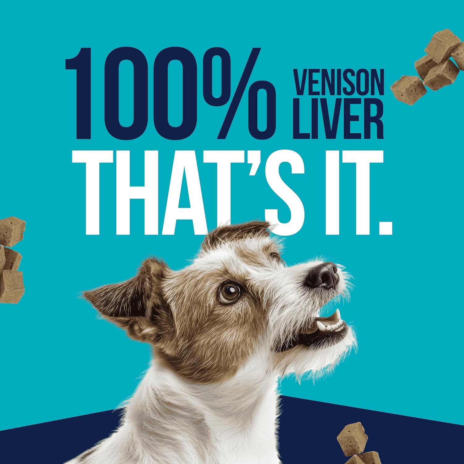 Stewart Single Ingredient Grain-Free Venison Liver Freeze-Dried Dog Treats or Food Topper - 2.5 Oz