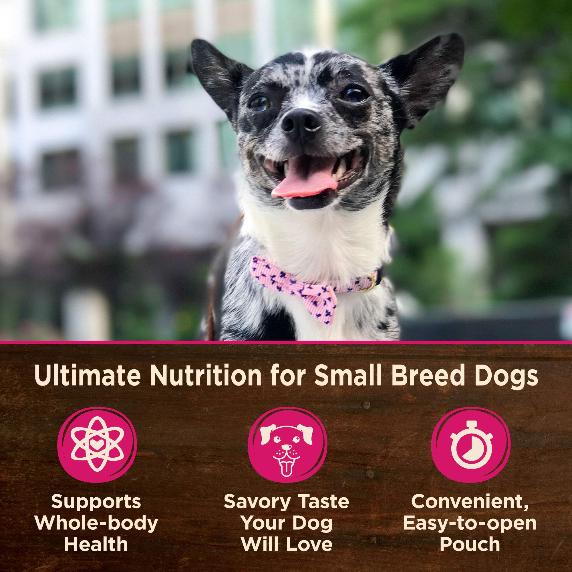 Wellness Core Mini Meals Grain-Free Chicken Pate Entrée Small-Breed Adult Wet Dog Food Pouch - 3 Oz - Case of 12  