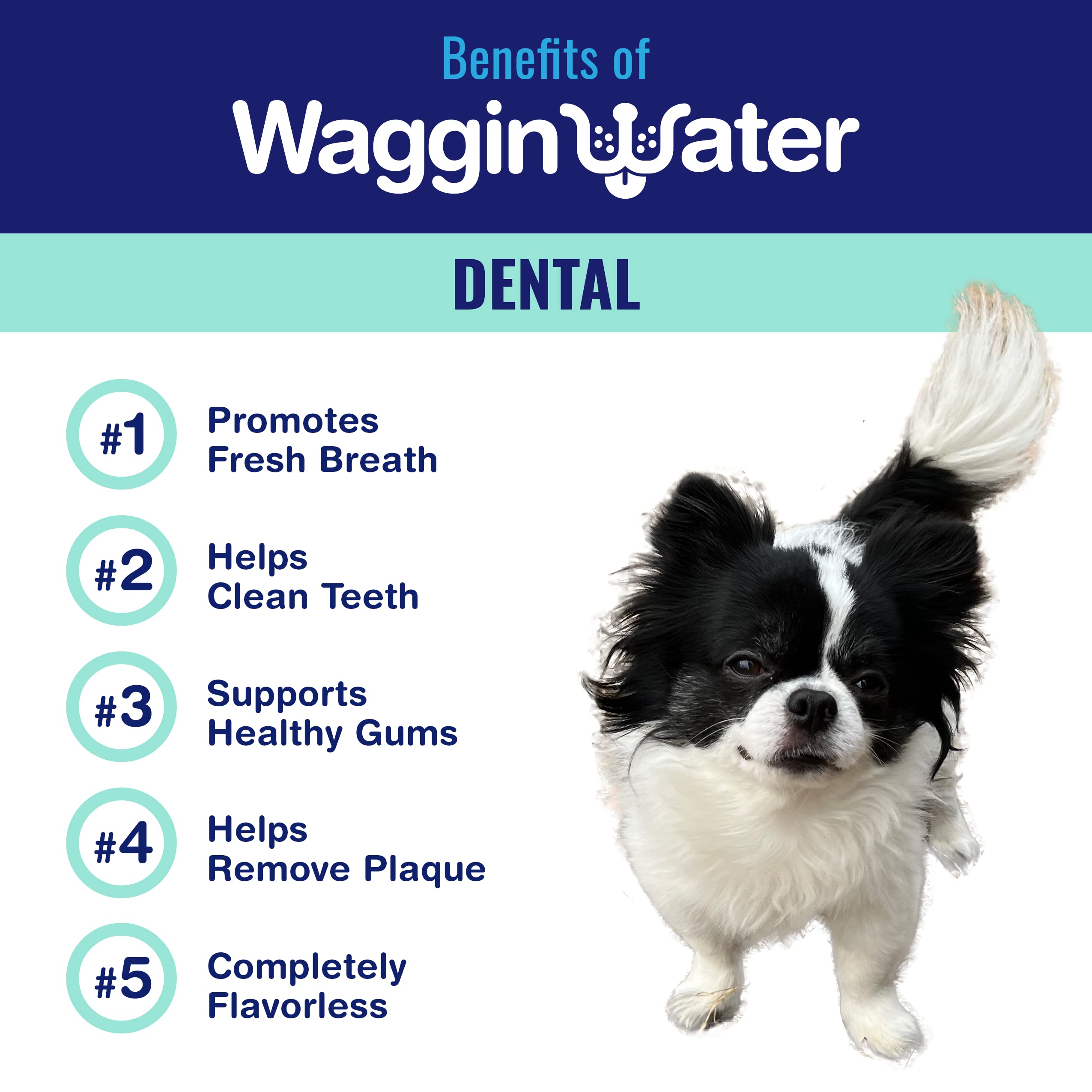 Waggin Water Daily Dental Water Additive Supplement for Dogs - 1 Ltr - Case of 12  