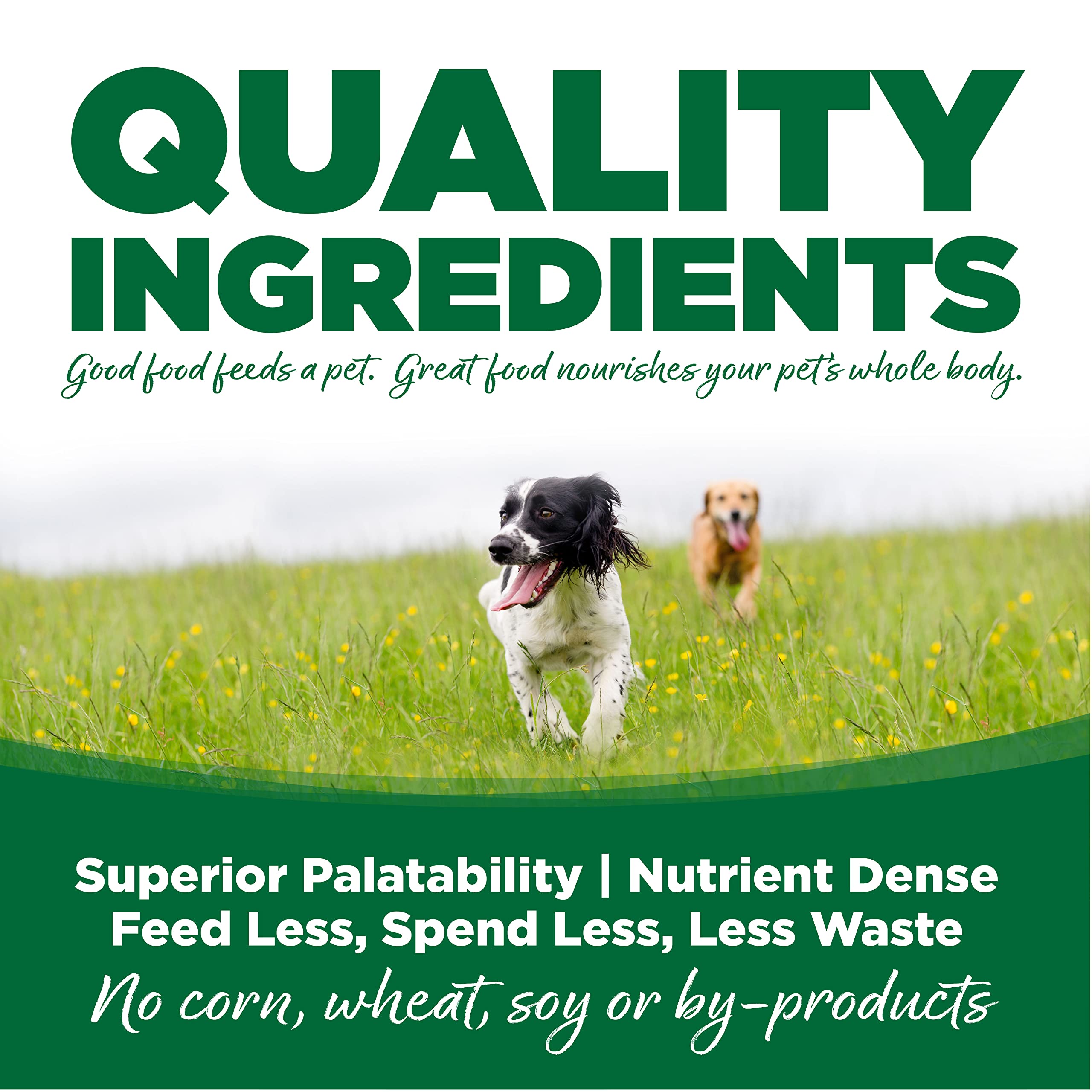 Nutrisource Turkey and Brown Rice Formula Dry Dog Food - 26 Lbs  